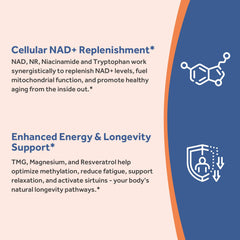 Ingredients showing NAD precursors including NR and NMN