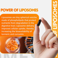 Ingredients panel on the inGreens Turmeric Supplement label