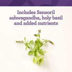 Dosage instruction showing two tablets per day.