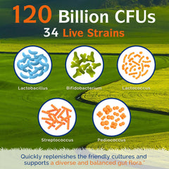 Delayed-release probiotic capsules reach the intestines