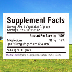 Innate Vitality Magnesium Glycinate capsules easy to swallow for everyday use.