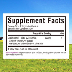 Close-up of milk thistle 50:1 extract capsule showing 80% silymarin