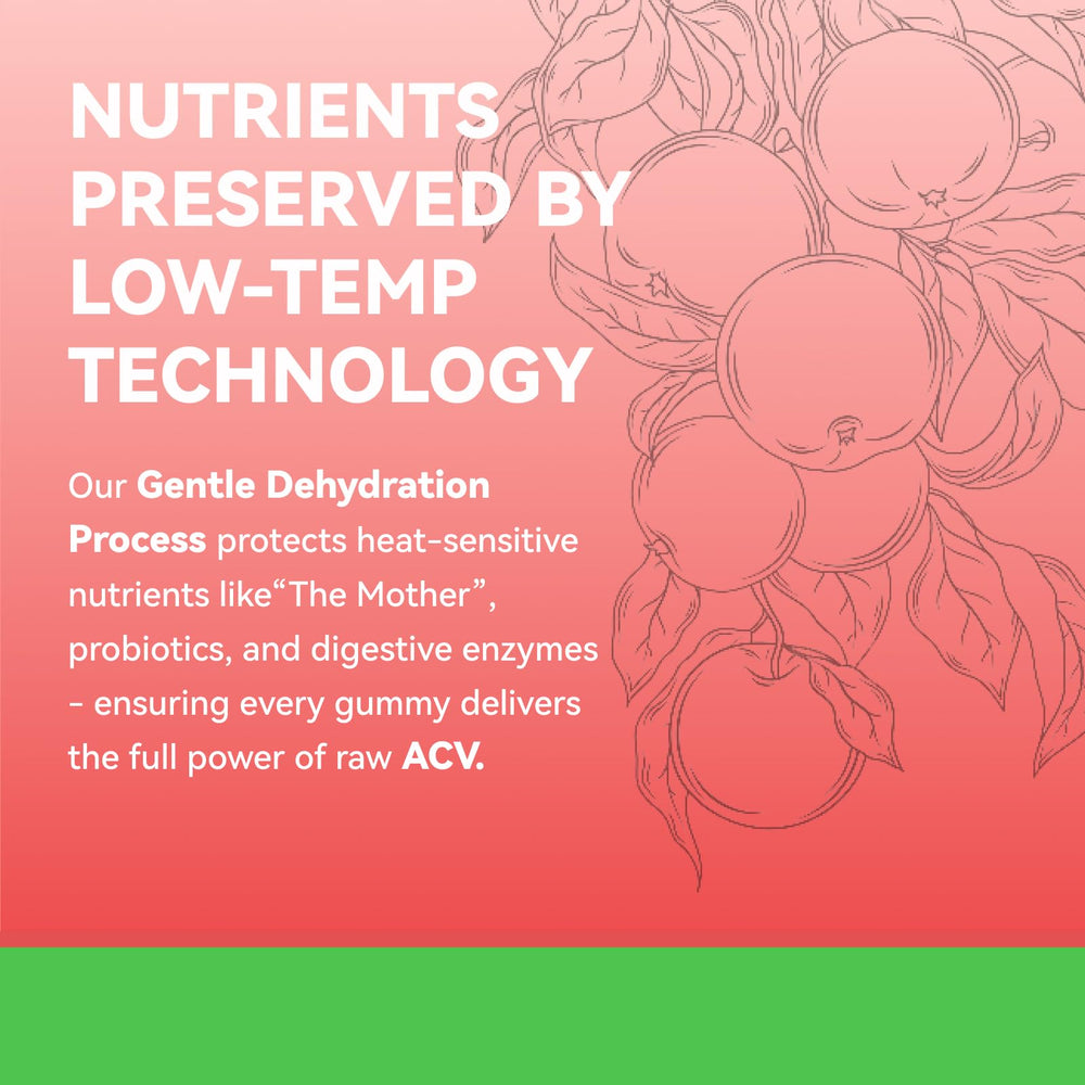 USA-made facility badge on Inner Brightness ACV gummies signifies trusted quality.