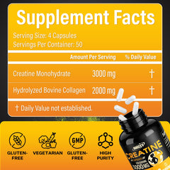 Packaging design showing INNIOXV Creatine Monohydrate 50 servings