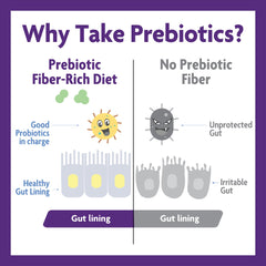 Unflavored vegan sugar-free fiber supplement packaging