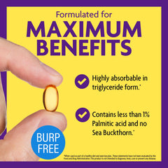 Graphic showing metabolism support from Omega 7