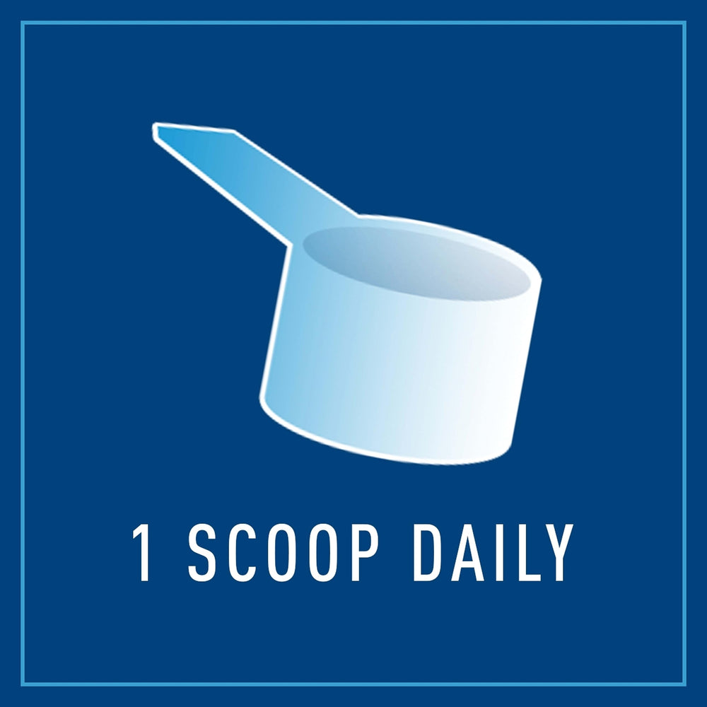 Graphic illustrating digestive health and intestinal lining