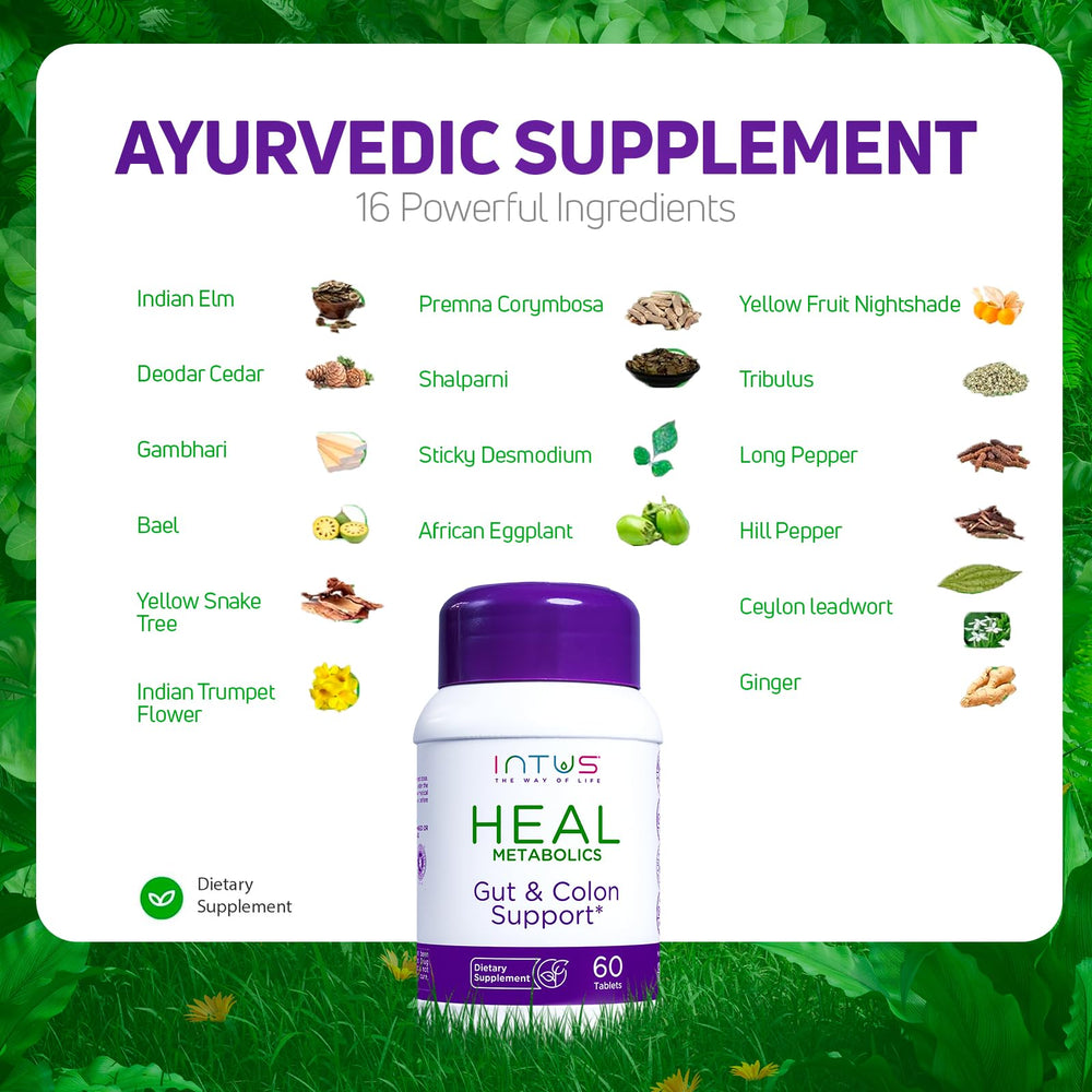 Daily digestive health and wellbeing portrayal with Intus Heal