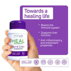 Digestive health balance illustration for Intus Heal