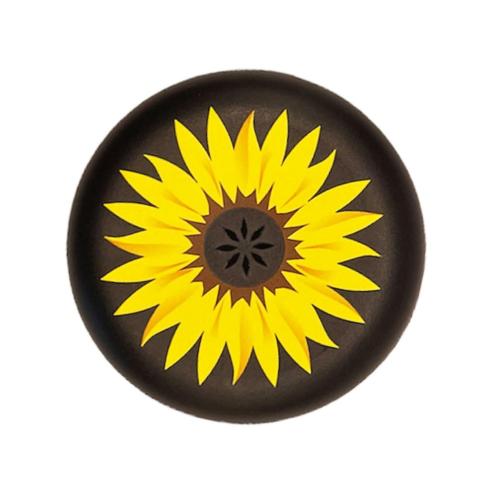 INVISALIGN SunFlower aligner and retainer case – front view