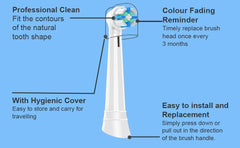 Rounded brush head designed for gentle cleaning of teeth and gums