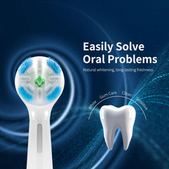 Nylon bristles designed for plaque removal and cleaning