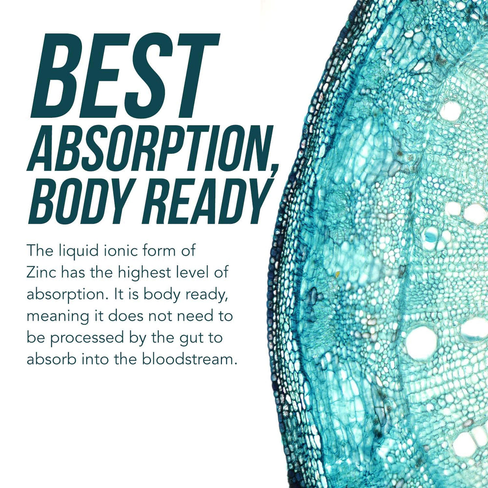 Concept image showing immune system, brain and thyroid support