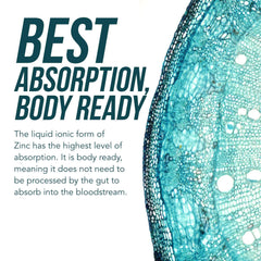 Concept image showing immune system, brain and thyroid support