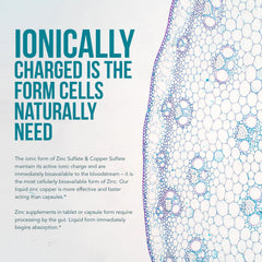 Icons representing immunity, brain, and thyroid health