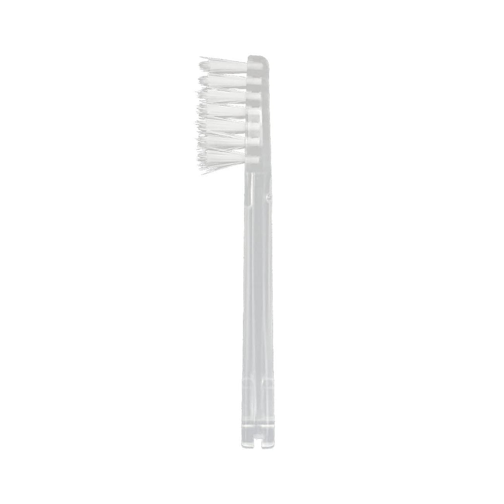 Close-up of extended filament bristles for IONPA DM head