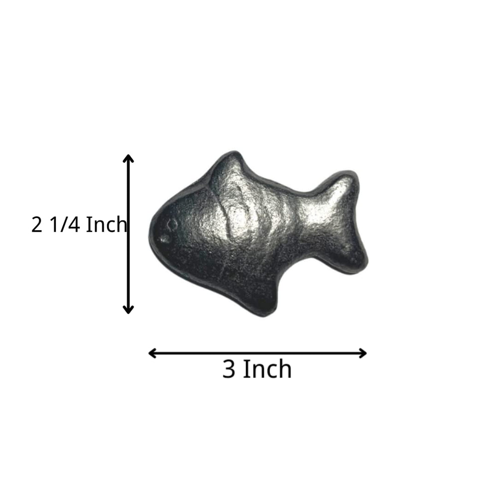 Close-up of a natural iron fish