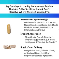 Close-up of natural ingredients and capsule