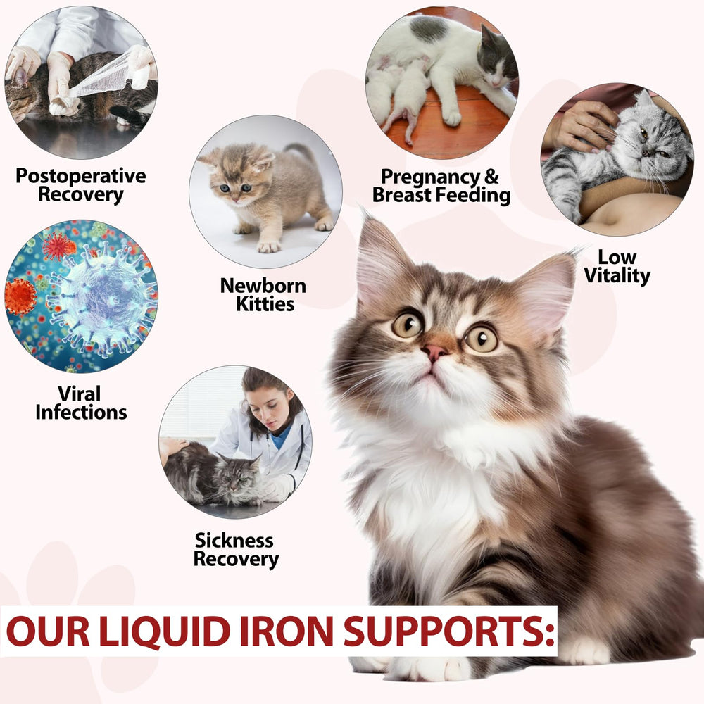Liquid iron supplement being added to wet cat food