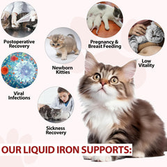 Liquid iron supplement being added to wet cat food