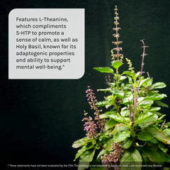 Supplement facts and ingredients on the bottle label