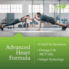 CoQ10 antioxidant support and energy production