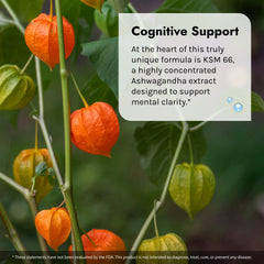 Phosphatidylserine and vitamin B12 for memory support