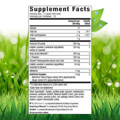 Close-up of Stress-Defy Sleep PM bottle showing label