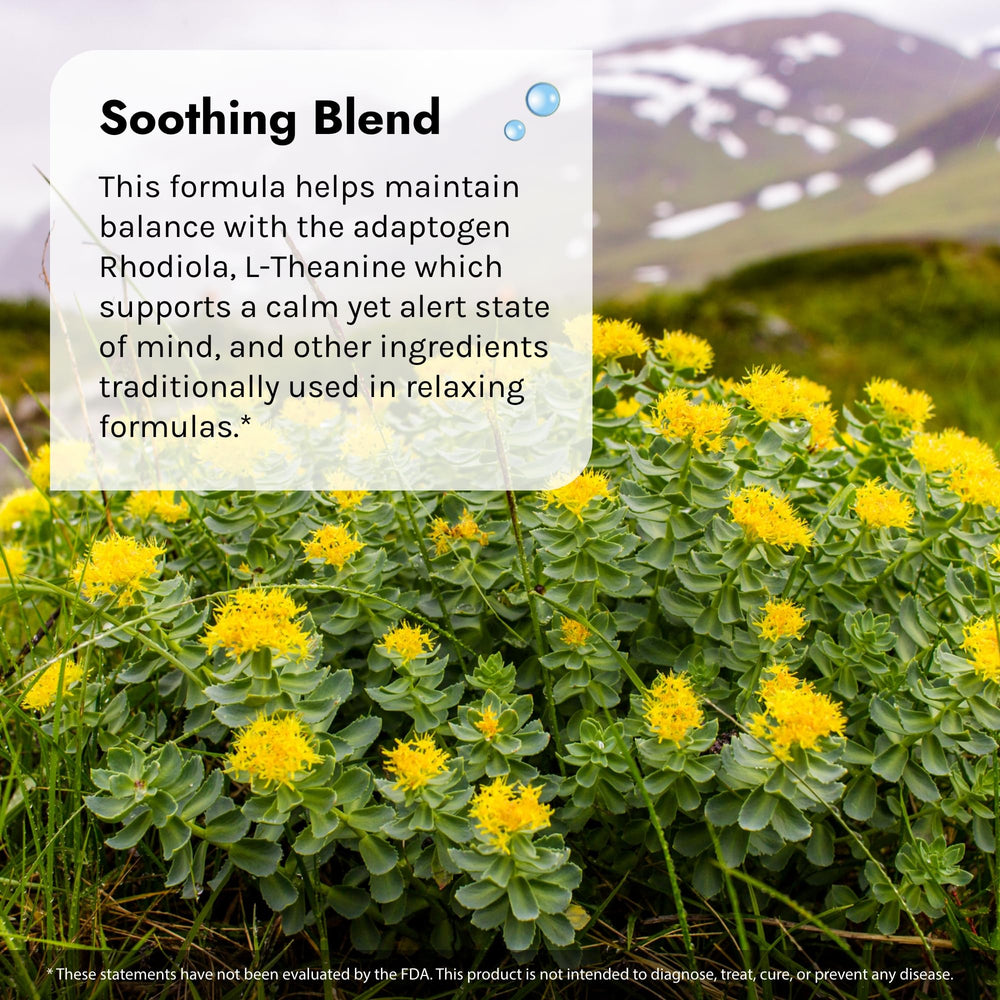 Front view of Irwin Naturals Sunny Mood bottle and box