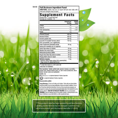 Close-up of Turmeric+ ingredients label showing 300 mg curcuminoids