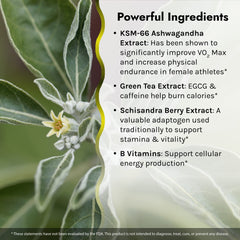 Irwin Naturals V02 Max Fat Burner bottle and packaging on white