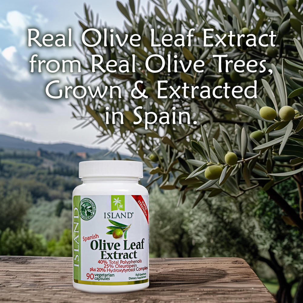 Authentic Mediterranean olive trees, 100% grown and extracted in Spain