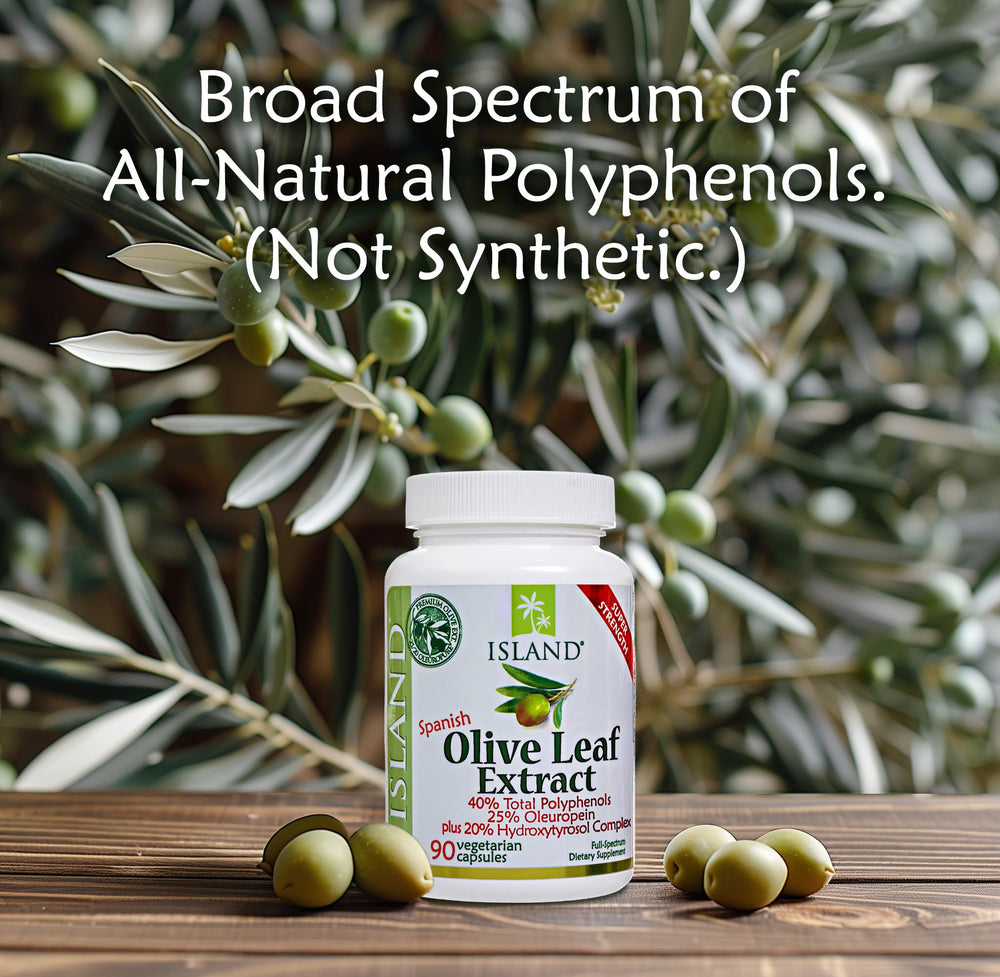 Spanish family-run olive farms where Island Nutrition sources leaves