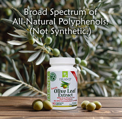 Spanish family-run olive farms where Island Nutrition sources leaves