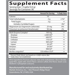 Digestive health concept showing gut-friendly enzymes and probiotics