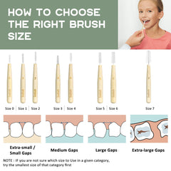 Flexible neck interdental brush suitable for braces and implants