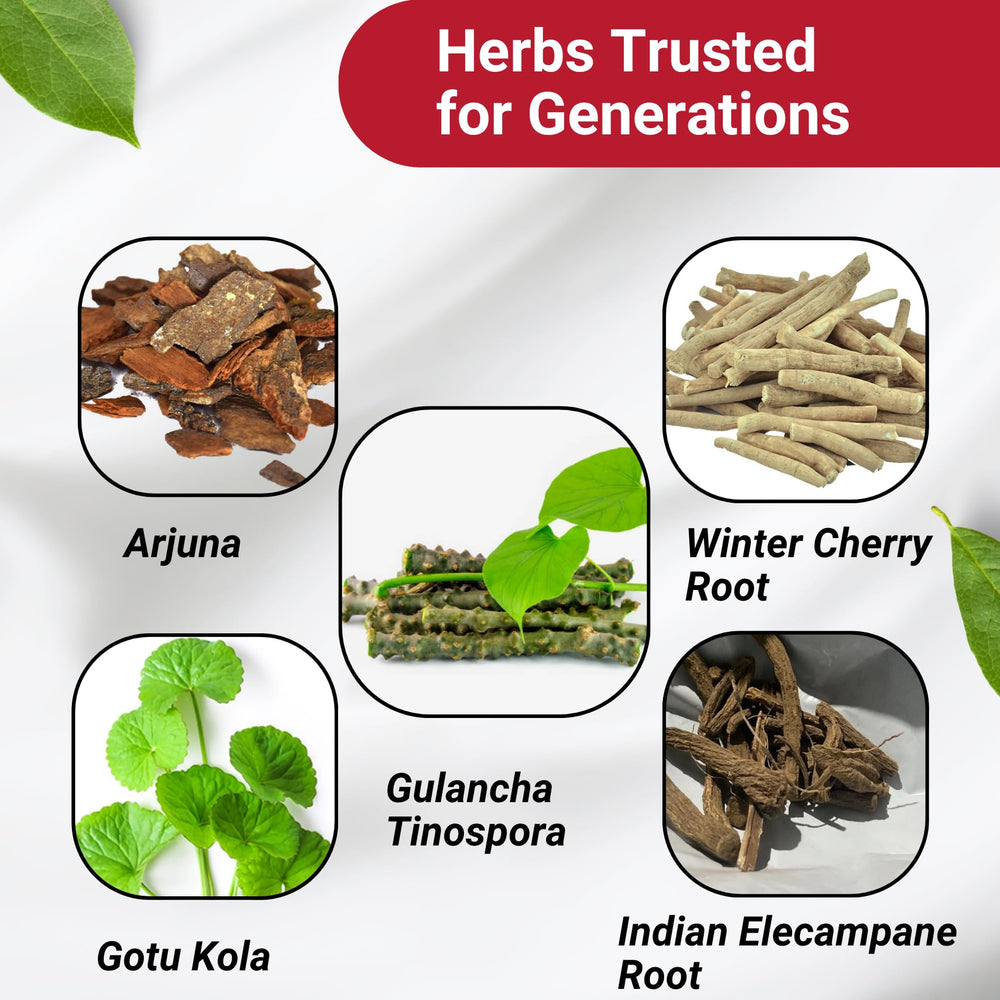 Lifestyle image with Ivy's Mukta Vati