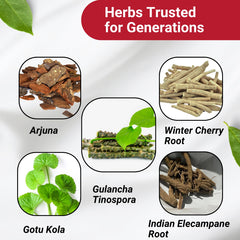 Natural Ayurvedic supplement packaging design