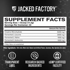 Measuring scoop filled with blue raspberry powder