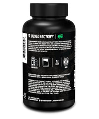 Workout-ready scene with Primasurge Max reinforcing energy and endurance