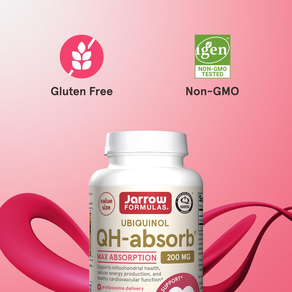 Illustration of ubiquinol absorption and mitochondrial energy support