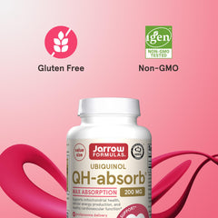 Illustration of ubiquinol absorption and mitochondrial energy support