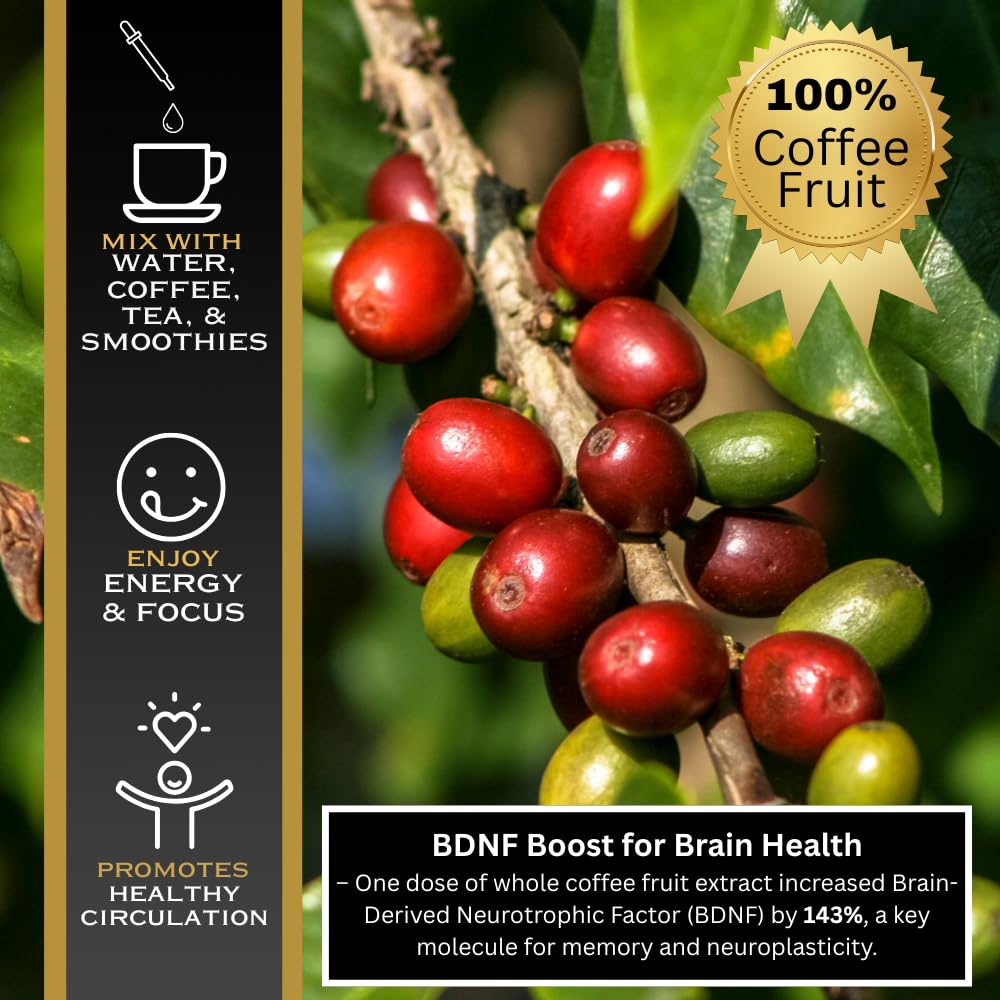 Graphic detailing polyphenols and antioxidants