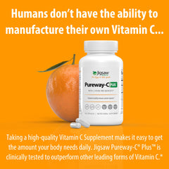 Immune support concept with vitamins and immune cells