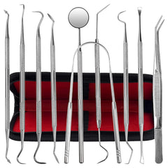 Jimy 10-Piece Dental Tools Set with case