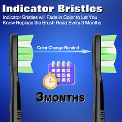 Indicator bristles show when to replace