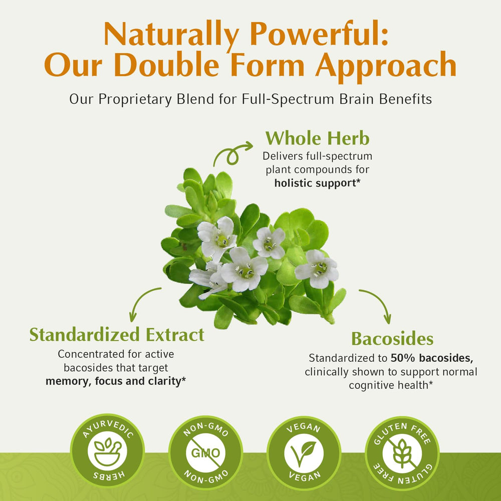 Bacopa Monnieri extract and Brahmi plant illustration