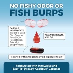 Illustration of joint and brain health benefits from krill oil