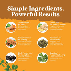 Graphic showing joints, liver and digestive health benefits