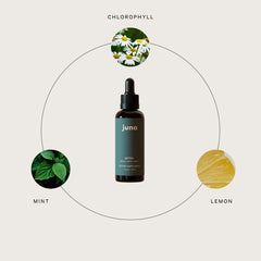 Fresh minty lemon flavor profile and branding